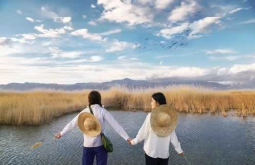 在365提現(xiàn)失敗財(cái)務(wù)清算要等多久 補(bǔ)救措施（圖）