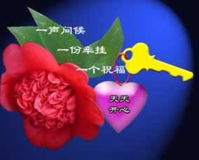 在黑網被黑維護出不了款 補救對策（圖）
