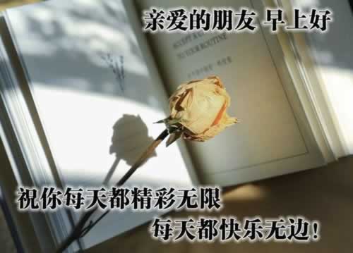365被黑提款顯示賬號(hào)異常部門審核不給提款 破解方法（圖）