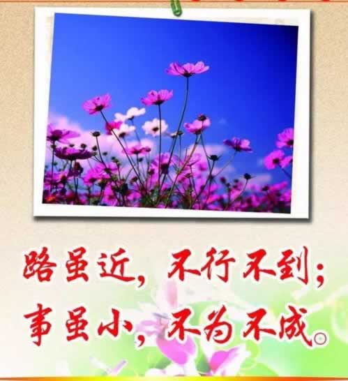 入黑平臺錢出不來什么破解方法（圖）