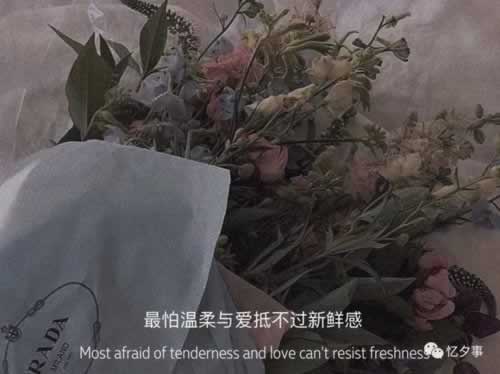 被黑怎么追有真正提出來的嗎 處理策略（圖）