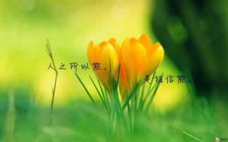 碰到黑網抽查審核不能提款 解決對策（圖）