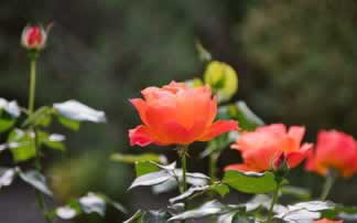 在平臺營前藏分后多久能打開提通道是不是有問題 處理方式（圖）