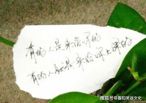 專業處理顯示涉嫌惡意刷水 應對方式(圖)