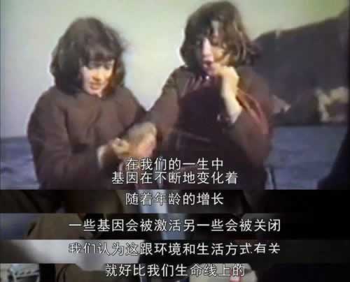 網上被黑的前兆 應對方法(圖)