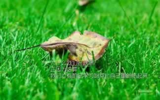 追回黑平臺(tái)資金費(fèi)用怎樣整(圖)