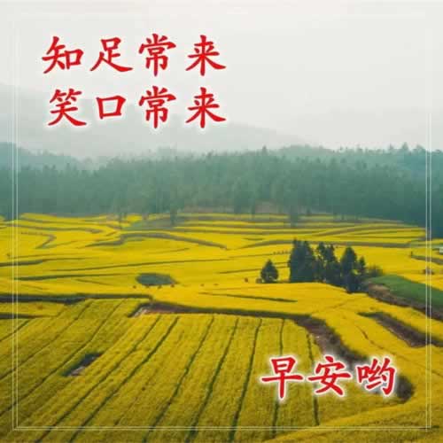 不能提款說系統(tǒng)檢測賬戶存在違規(guī)異常 破解辦法（圖）