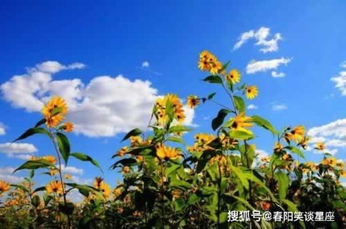 被黑需要風控審核碰到了怎么搞(圖)