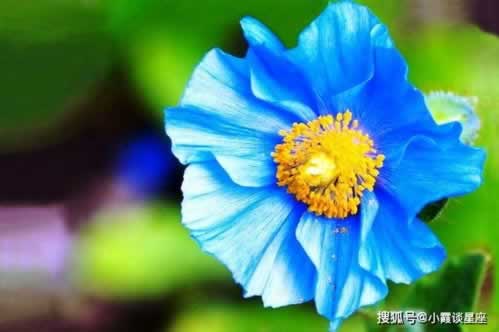 提款審核客服教你如何應對（圖）