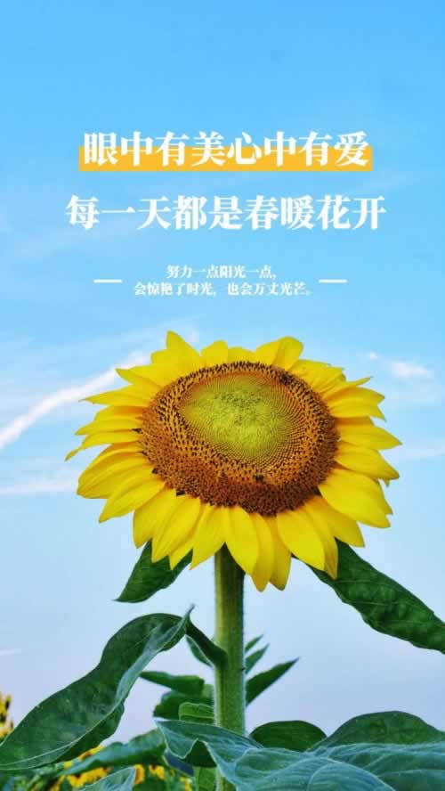 網絡快三提現(xiàn)被退回賬號被黑 應對策略（圖）