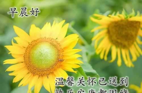 娛樂平臺提示財務清算不給提款教你怎么破解（圖）