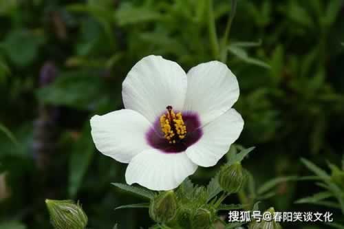 網絡平臺以通道維護為借口拒絕提現碰到了怎么處理（圖）