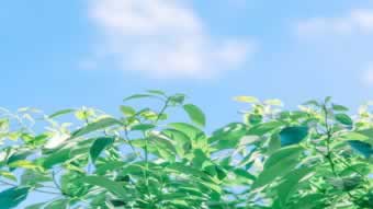 提款要求一倍流水什么意思 解決方案(圖)