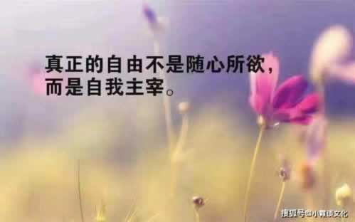 平臺系統維護提現不了 處理方法（圖）