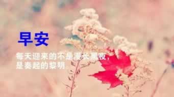 黑網系統顯示財務清算提現不出 破解方法(圖)