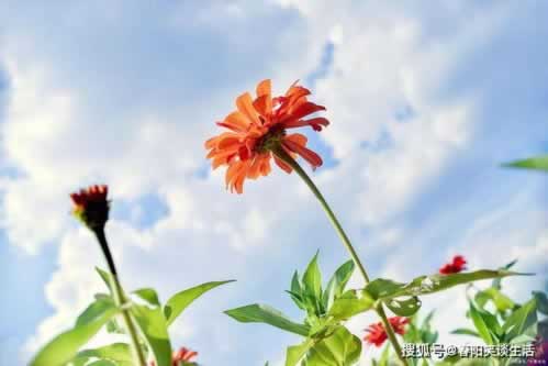 在網(wǎng)絡(luò)賬戶違規(guī)下注提不了大家怎么辦（圖）
