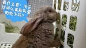 能解決我在玩的取不了款了怎么弄（圖）