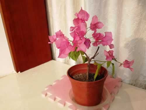 遇到平臺財務清算不能出有什么辦法解決（圖）
