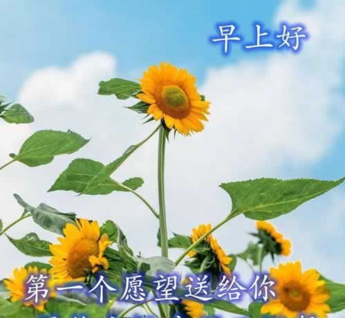 提現到賬保障大家如何避免（圖）