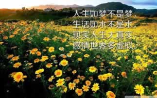 網上游戲抽查審核不能提款 處理辦法(圖)