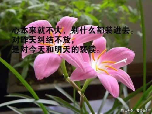 提現時候顯示提款通道在維護審核中怎樣解決（圖）