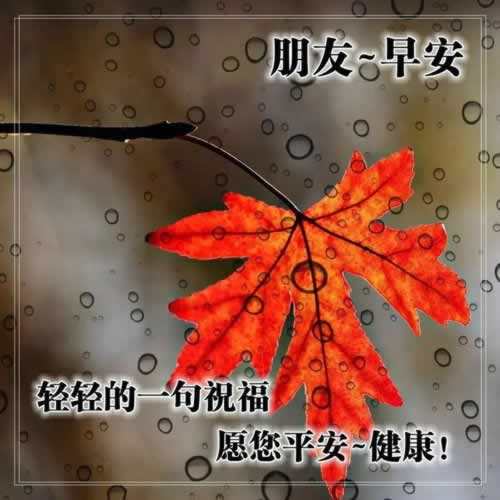 網絡被黑通道維護提款失敗 破解思路（圖）
