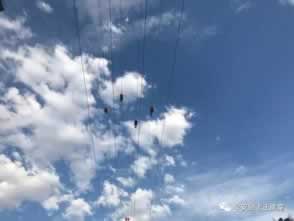 在網站不給出款說通道維護審核怎樣挽回（圖）