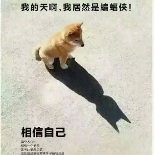 在手機王頭出不了款有什么好的方法教你怎么挽回（圖）
