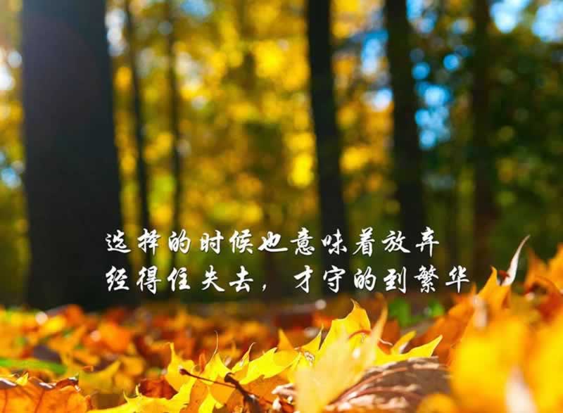 在黑網(wǎng)目前注但異常一直審核 操作方式（圖）