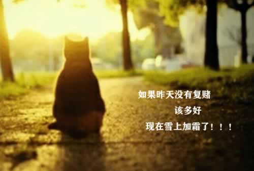 平臺不能提現出款怎么辦 操作方式（圖）