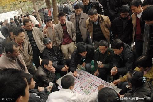網上贏錢風控審核不能出大家如何處理(圖)